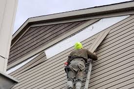 Best Storm Damage Siding Repair  in St Louis, MI